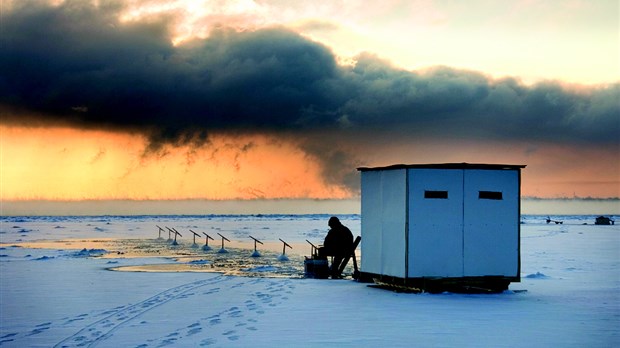 Des remous sur la question des poissons-appâts dans le lac Saint-Pierre